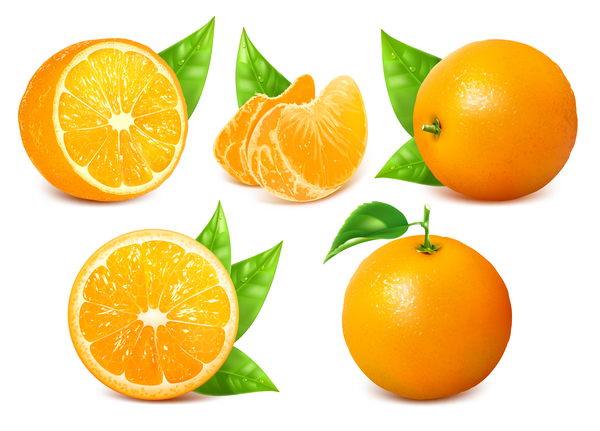 新鮮な柑橘類のイラストベクター09  