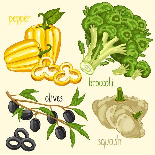 Frisches Gemüse mit Namensvektorillustration 11  