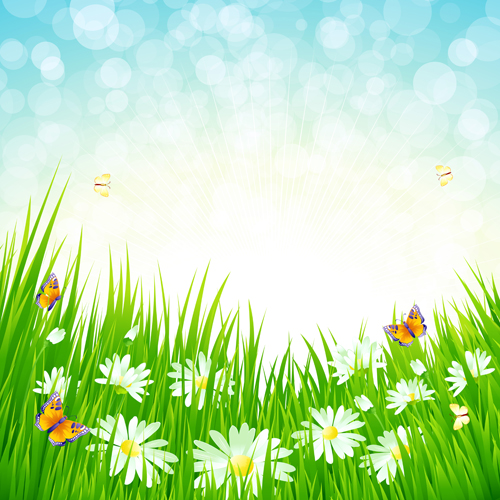 Grass with blue sky spring vectors 05  