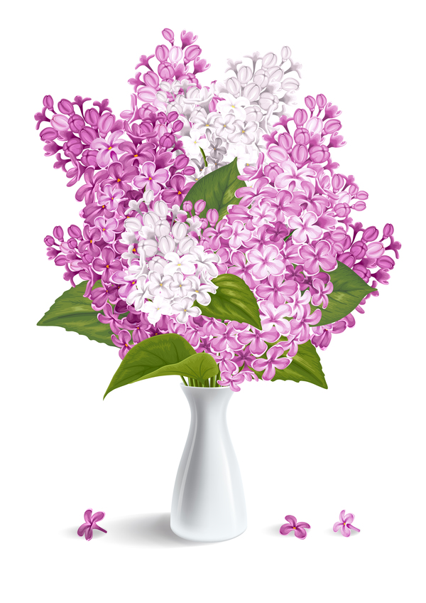 Lilac with white vase illustration vector  