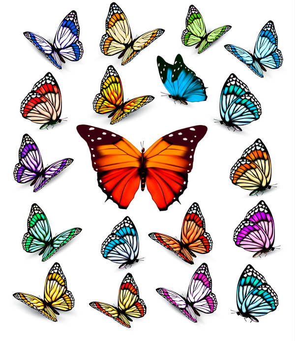 Set of colorful butterflies vector material 04  