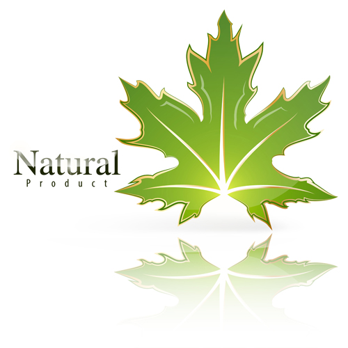 Shiny green leaf with nature logo vector 03  