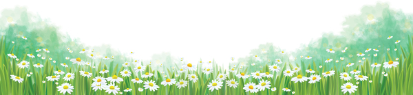 White daisies with spring backgrounds vector set 04  