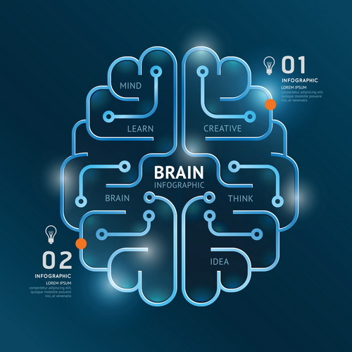 cerveau avec vecteur de lignes infographiques  