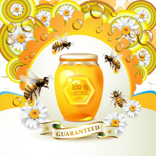 Elements of Honey and Bees vector set 04  