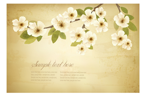 spring white flowers with vintage background 01  