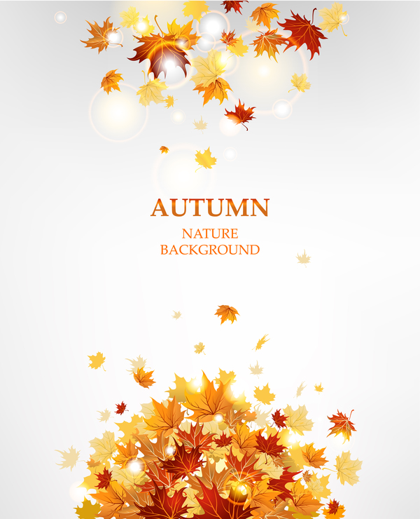 自然の背景ベクトルと秋の葉  