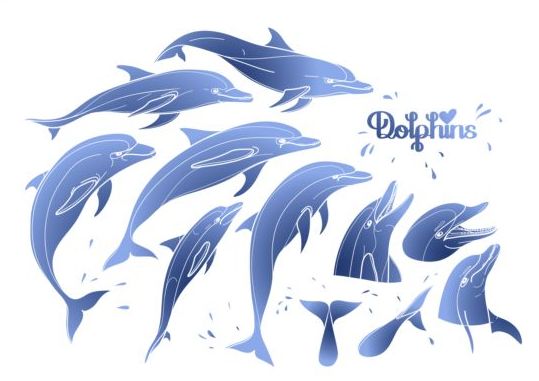 Blauer Delfin mit sommerlichem Hintergrundvektor 01  