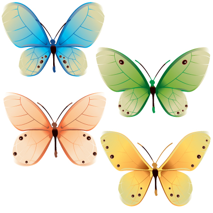 Beautiful Butterflies design elements vector 02  