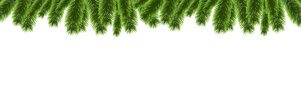 Christmas pine branches borders decor vector 02  