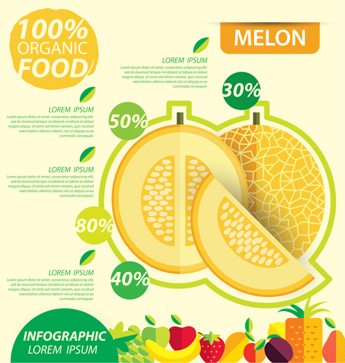 Flat fruits infographic vectors template 08  