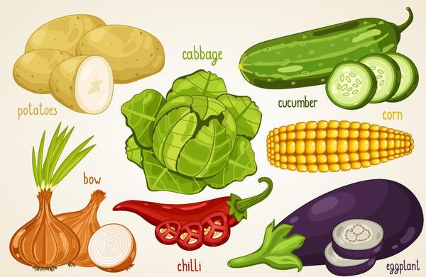 Légumes frais avec illustration vectorielle de nom 01  