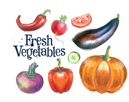 Hand drawn fresh vegetables colored vector 04  