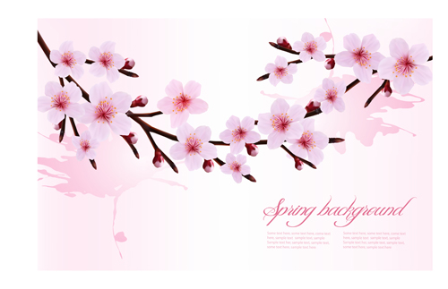 Spring pink flower vector background graphics 02  