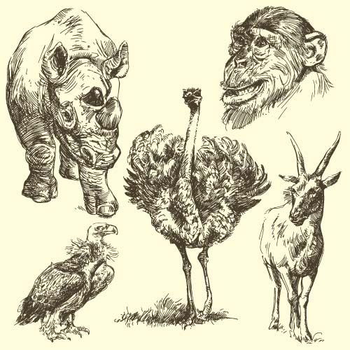 Wild animals hand drawing vectors set 12  