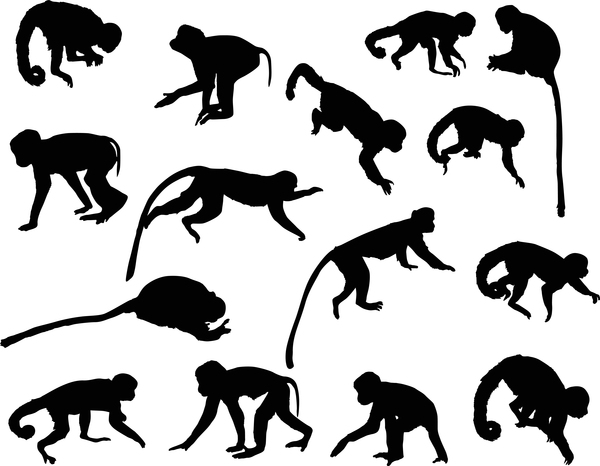 tierische Affen Silhouette vektor 01  