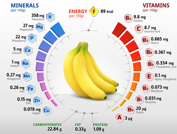 バナナのビタミン インフォ グラフィック ベクトル  