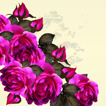 Vintage Purple Roses vector set 03  