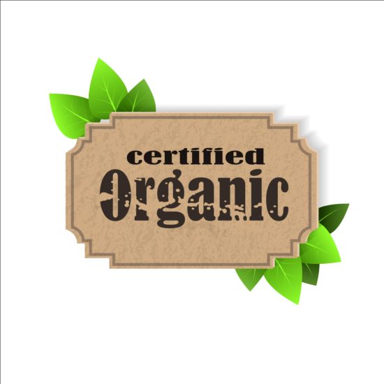 Certifierad ekologisk etikett och gröna blad vektor 01  