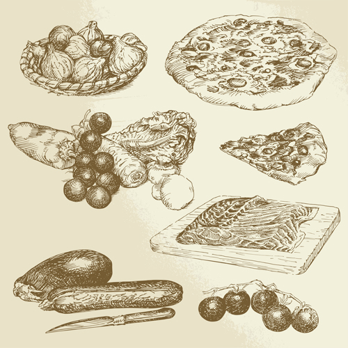 Drawing foods retro illustrations vector 12  
