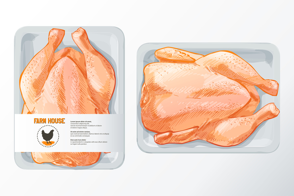 Farn 新鮮な鶏肉肉ポスター ベクトル 03  
