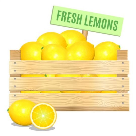 Векторный плакат из свежих лимонов  