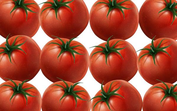 Vecteur de motif de tomate fraîche  