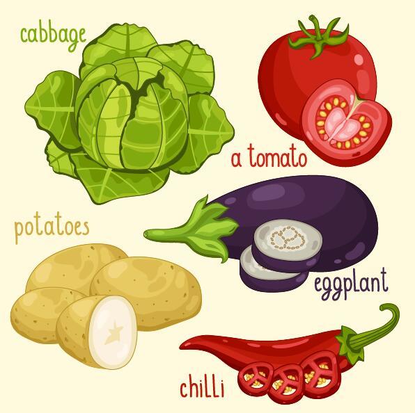 Légumes frais avec illustration vectorielle de nom 10  