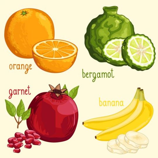 Fruit with name design vector 05  