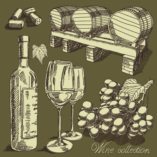 Retro hand drawn wine elements vector collection 05  