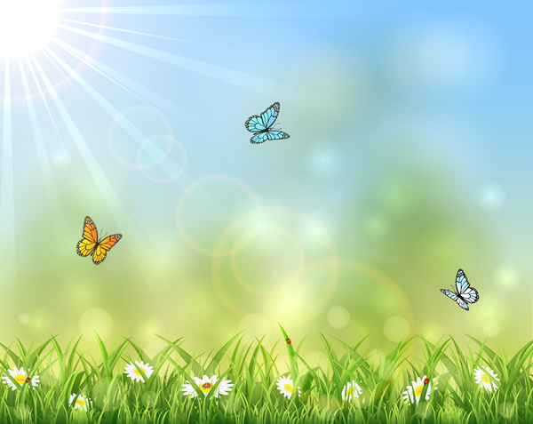 Sunny background with butterflies design vector  