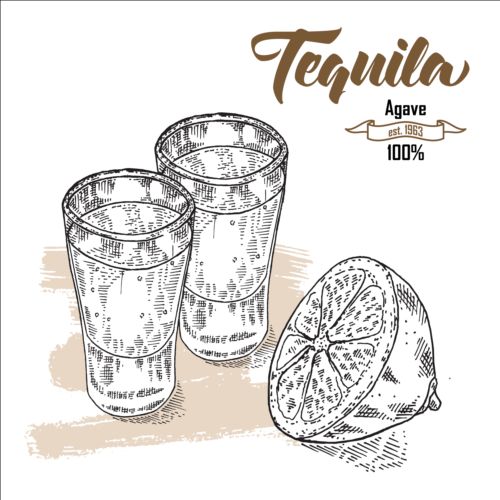 Tequila with lemon hand drawn vector 01  