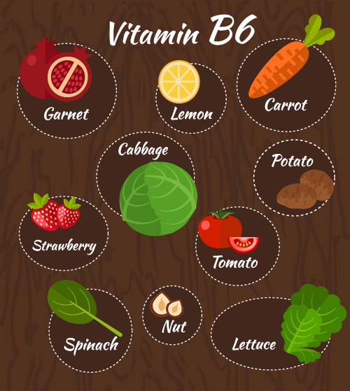 Vitamin with healthy diet vector material 08  