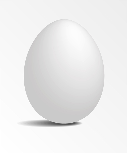 White Eggs design vector  