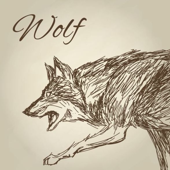 Wolf Hand Zeichnung Vektor gestaltungsmaterial 02  
