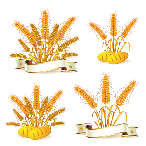 Bread with wheat vector 04  