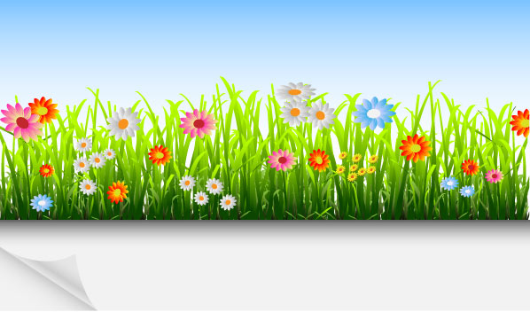 Grass and Flowers Decoration elements vector 03  