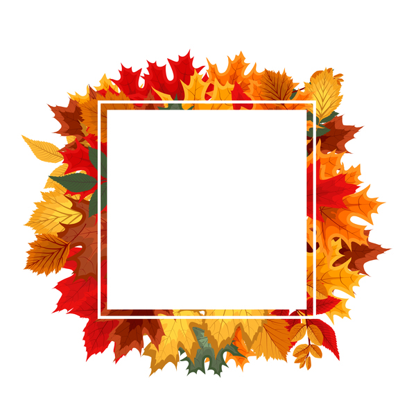 白い空白のフレームベクトルと秋の葉  