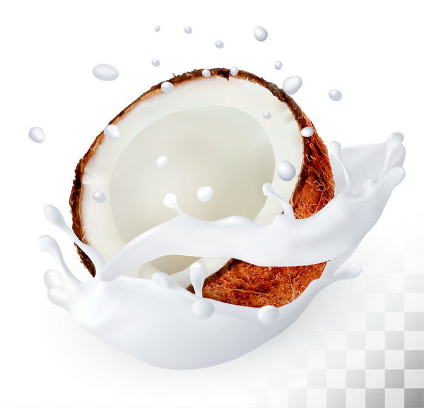 Coconut with splash milk vector  