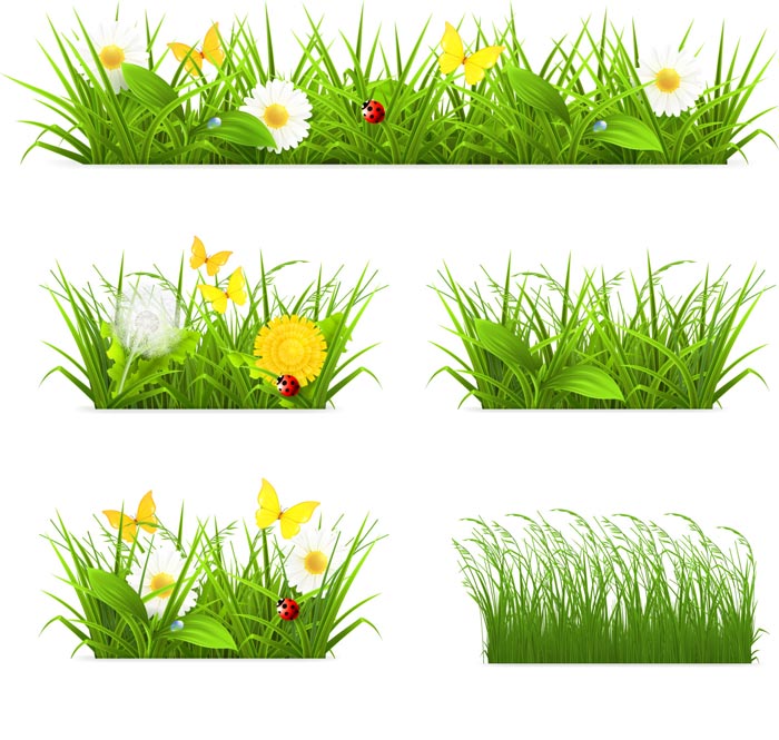 Flower with grass border vector material 01  