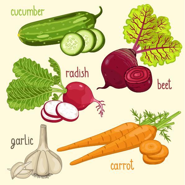 Légumes frais avec illustration vectorielle de nom 09  