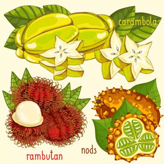 Fruit with name design vector 04  