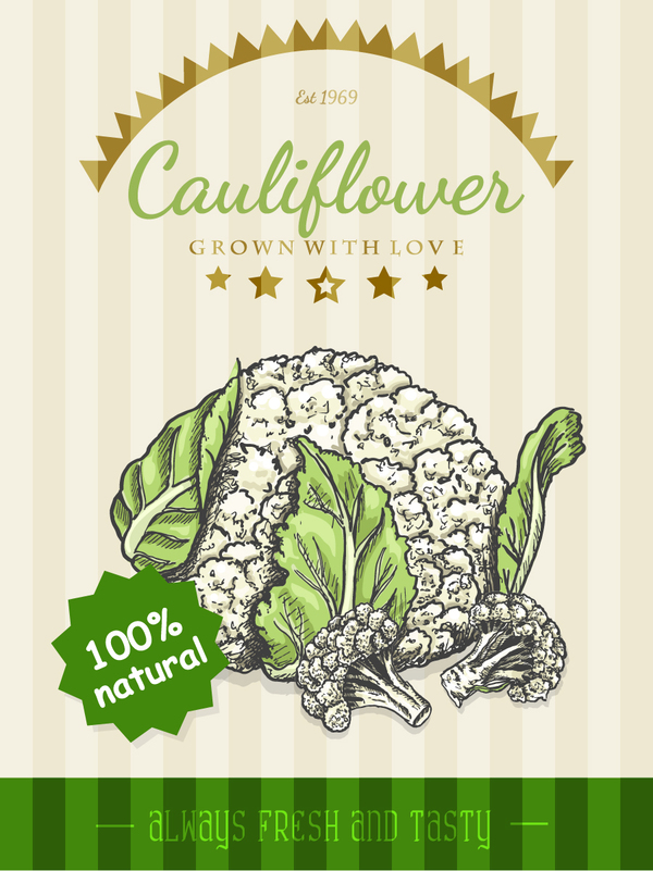 Natural cauliflower poster vector  