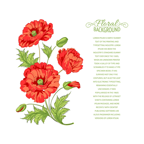 Rote Blume mit Hintergrund für Text-vektor  