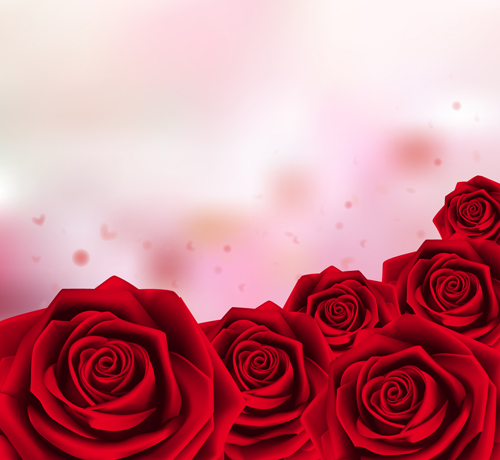 Red rose with pink background vector 01  