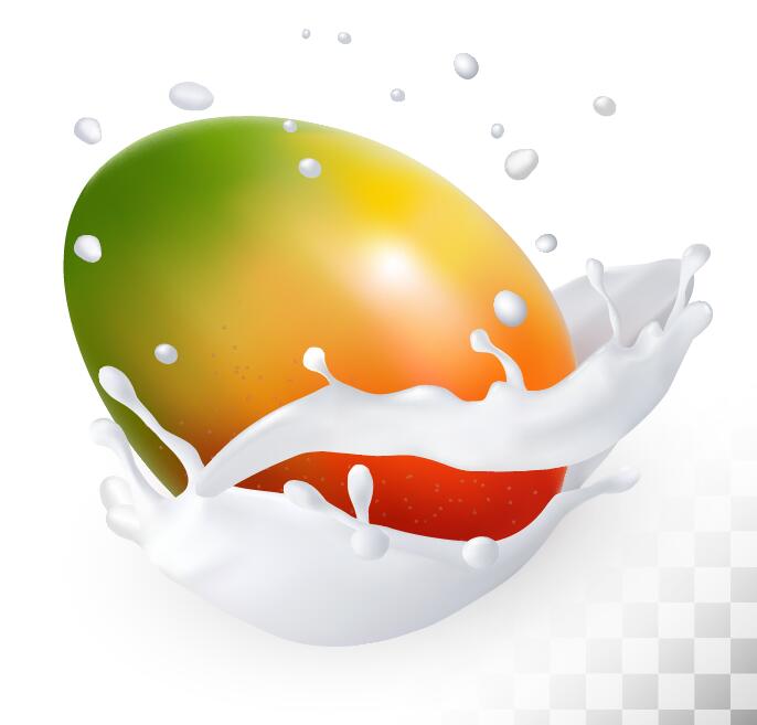 mango with splash milk vector  