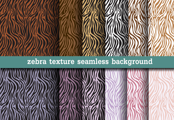 Animal zebra texture seamless pattern vector  