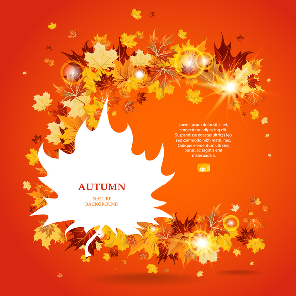 Autumn leaves background with shining light circles vector 02  