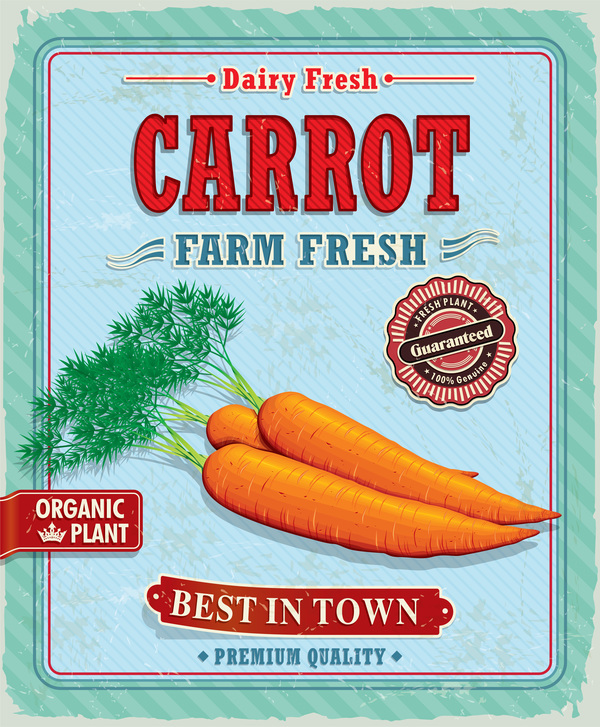 Fresh carrot poster vector  
