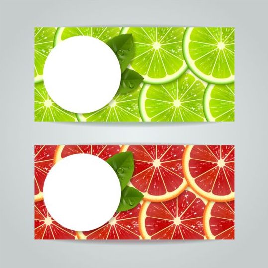 Grön med röd citrus frukter banners vektor  